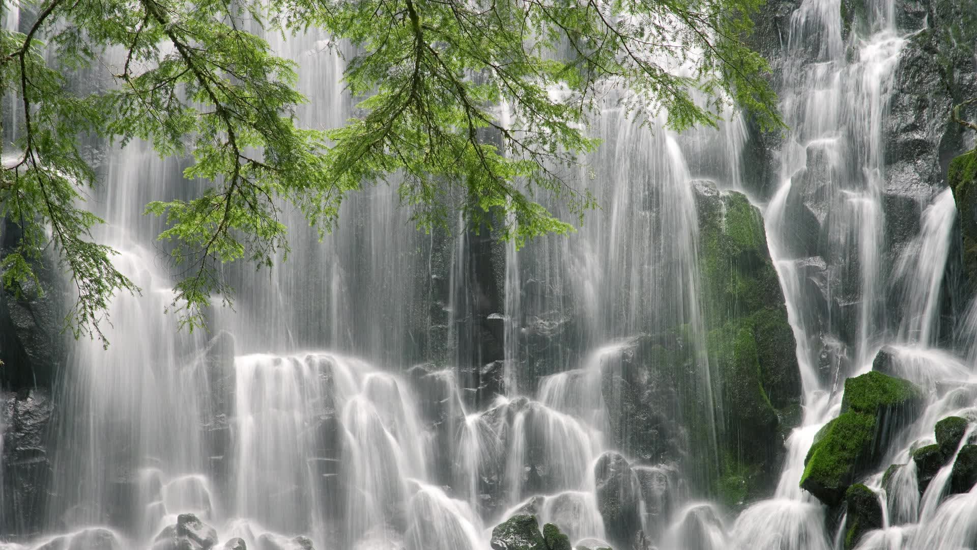 世界板球青训夏令营师资与课程安排公布，板球世锦赛